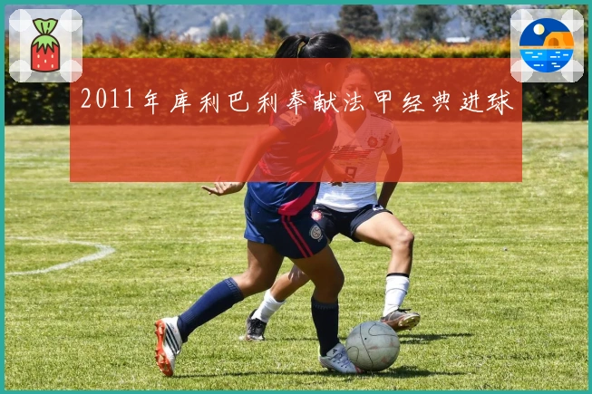 2011年库利巴利奉献法甲经典进球