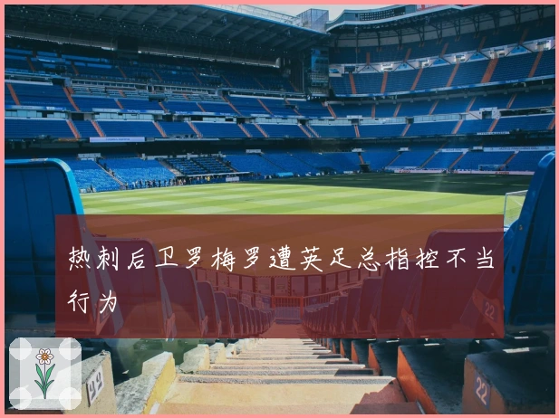 热刺后卫罗梅罗遭英足总指控不当行为