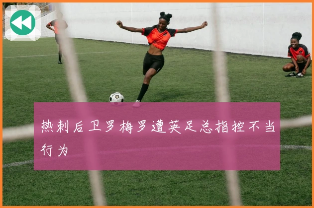 热刺后卫罗梅罗遭英足总指控不当行为